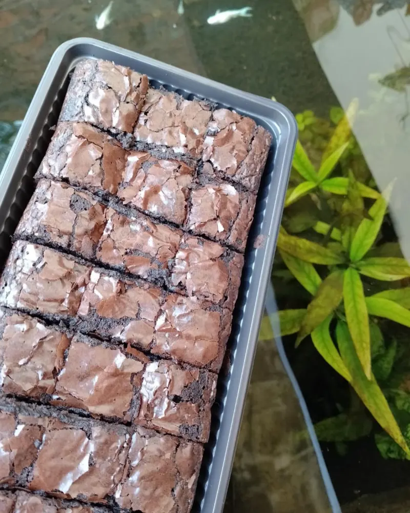 Catering Arisan Ibu-Ibu dengan Kue Kering Nastar dan Kastengel
