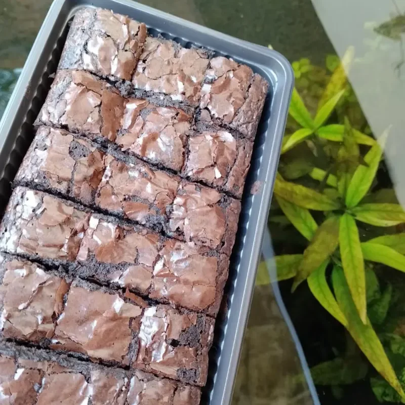 Catering Arisan Ibu-Ibu dengan Kue Kering Nastar dan Kastengel