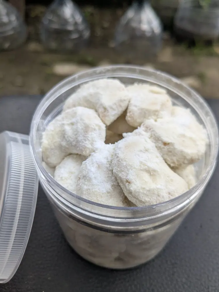 Kue Putri Salju: Sejarah, Bahan, Tips Memilih